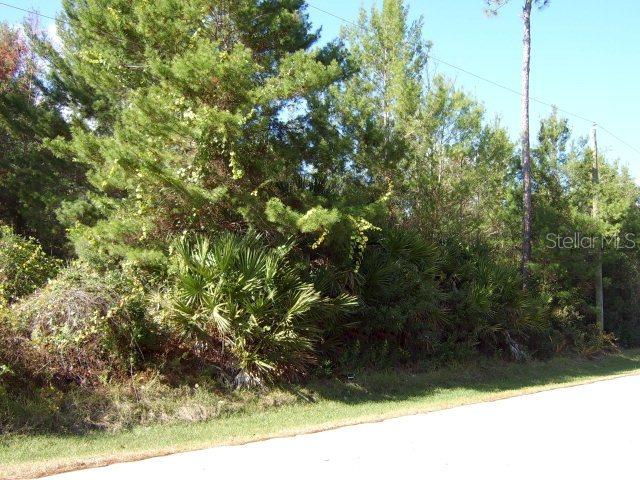 40 Fallen Oak Ln., Palm Coast, FL 32137