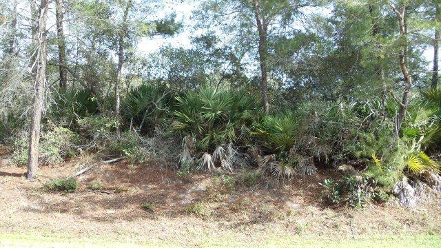 35 Fallen Oak Ln., Palm Coast, FL 32137
