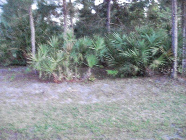 13 Coral Reef Ct., Palm Coast, FL 32137