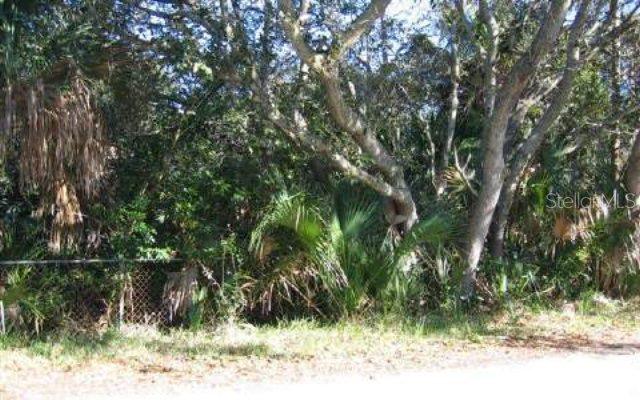 2503 Daytona Ave., Flagler Beach, FL 32136