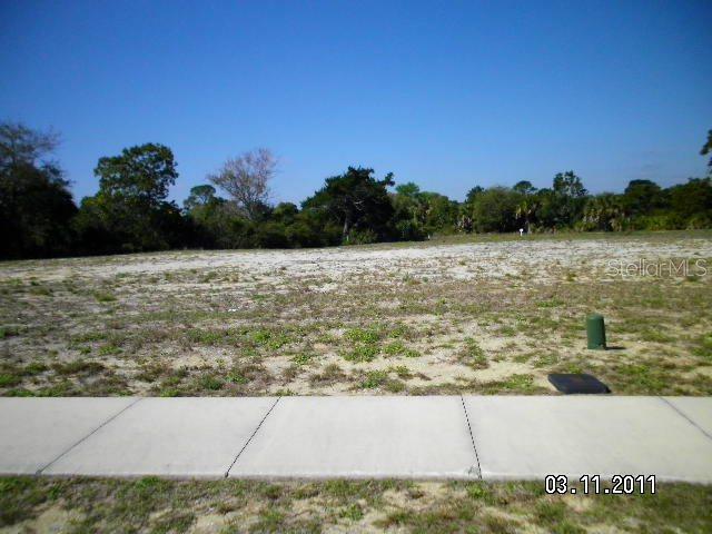 156 Heron Dr., Palm Coast, FL 32137