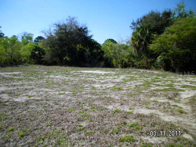 202 Heron Dr., Palm Coast, FL 32137