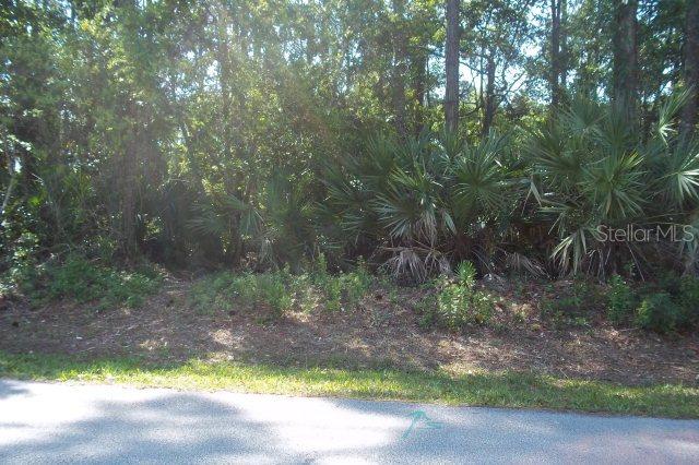108 Beacon Mill Ln., Palm Coast, FL 32137