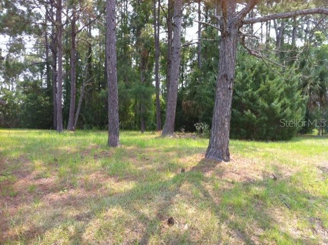 11 Walt Pl., Palm Coast, FL 32164