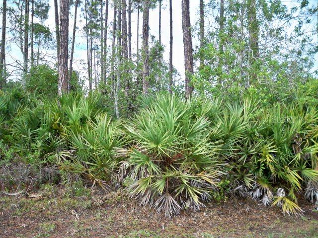 69 Ethan Allen Dr., Palm Coast, FL 32164