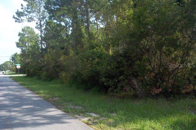 3 Birchfield Pl., Palm Coast, FL 32137