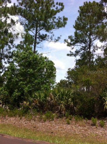 36 White Star Dr., Palm Coast, FL 32164