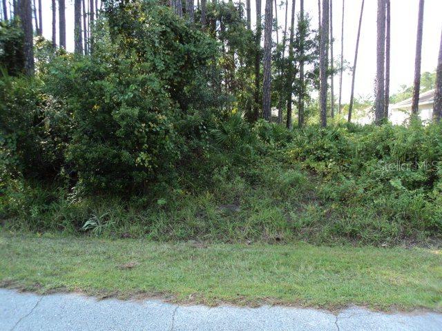 56 Evans Dr., Palm Coast, FL 32164