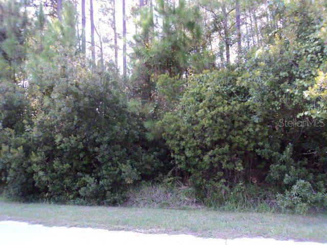 54 Evans Dr., Palm Coast, FL 32164