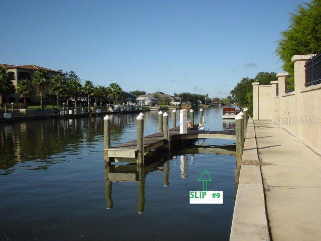 Bella Harbor Ct., Palm Coast, FL 32137