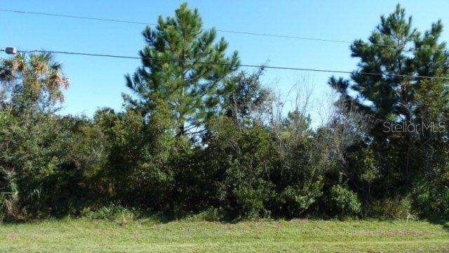 10 Big Horn Dr., Palm Coast, FL 32137