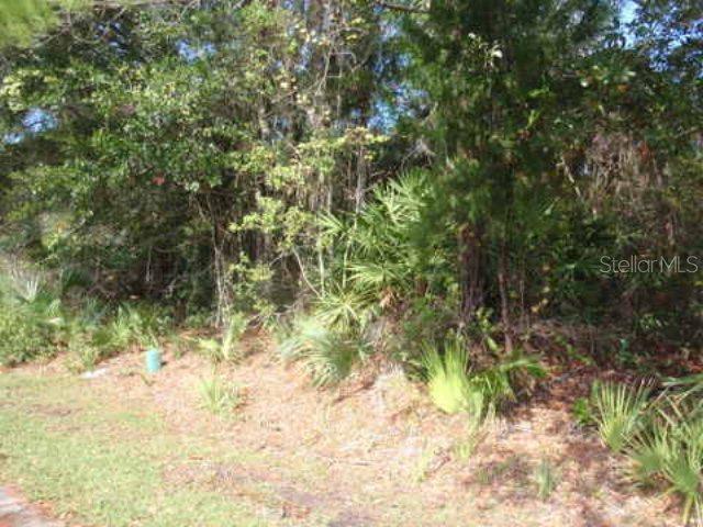 4 White Hill Pl., Palm Coast, FL 32164