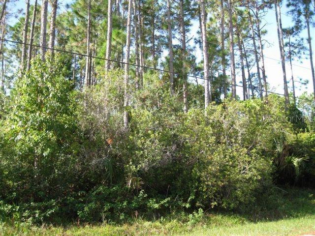 42 Ryapple Ln., Palm Coast, FL 32164