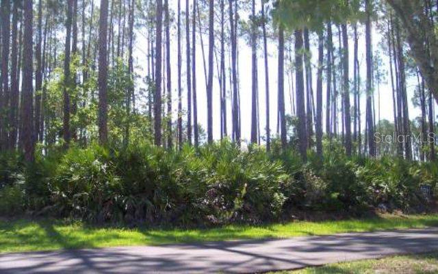 39 Elias Ln., Palm Coast, FL 32164