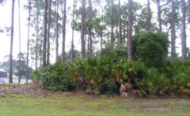 150 Laramie Dr., Palm Coast, FL 32137