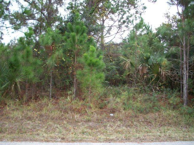 72 Raleigh Dr., Palm Coast, FL 32164