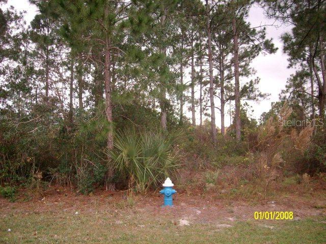 25 Wheatfield Dr., Palm Coast, FL 32137