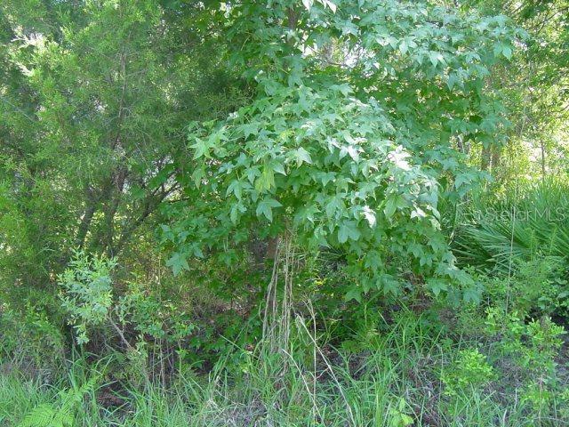 12 Ponce Deleon Dr., Palm Coast, FL 32164