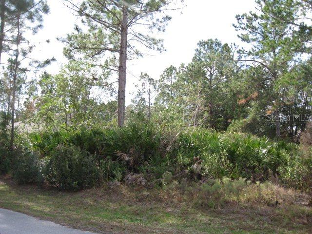 8 Rainmill Pl., Palm Coast, FL 32137