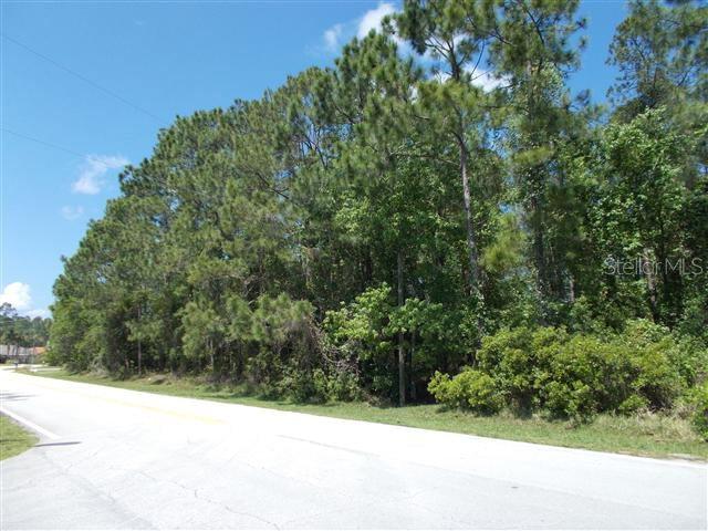 171 Eric Dr., Palm Coast, FL 32164