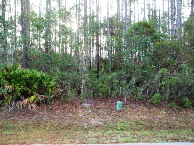 23 Edison Ln., Palm Coast, FL 32164