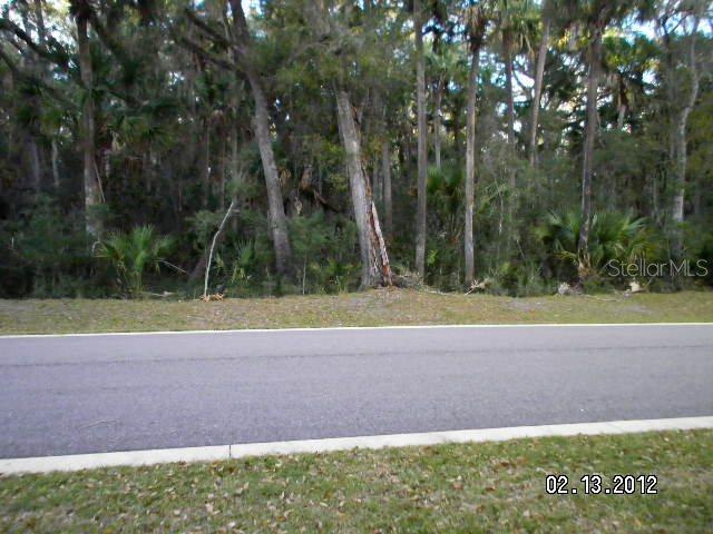 55 Steeplechase Tr., Flagler Beach, FL 32136