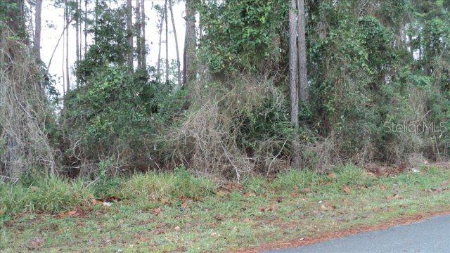 50 Birchwood Dr., Palm Coast, FL 32137