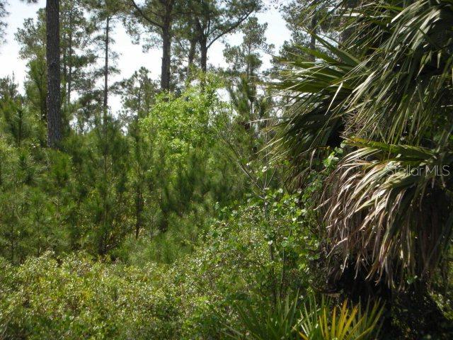[Address Hidden by Seller], Flagler Beach, FL 32136