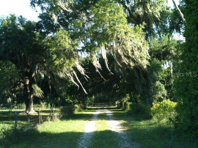 6200 Cracker Swamp Rd., Hastings, FL 32145