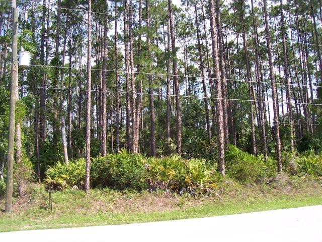 7 Post Tree Ln., Palm Coast, FL 32164