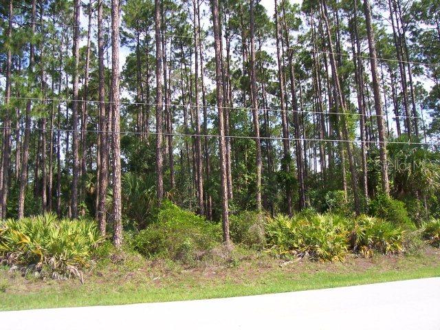 9 Post Tree Ln., Palm Coast, FL 32164