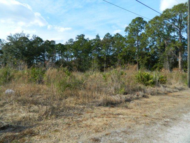 3 Hope St., Daytona Beach, FL 32174