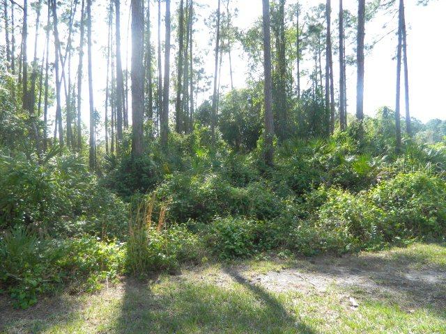 139 Bressler Ln., Palm Coast, FL 32137