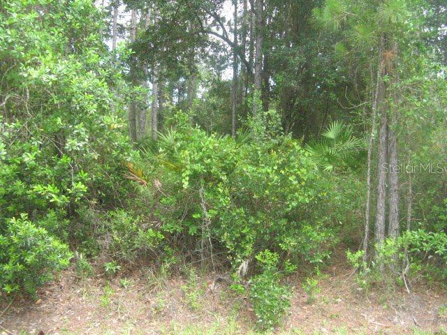 11 Ripton Pl., Palm Coast, FL 32164