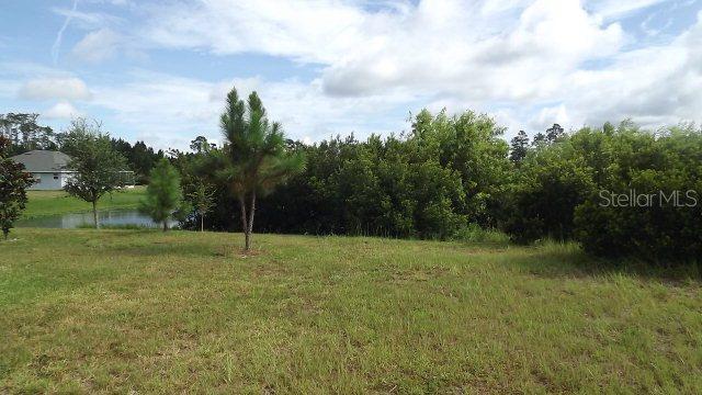 30 Lewisdale Ln., Palm Coast, FL 32137