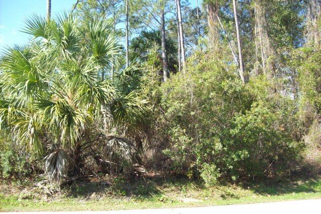 13 Pittman Dr., Palm Coast, FL 32164