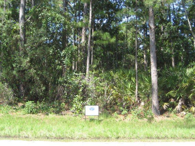 29 Wood Center Ln., Palm Coast, FL 32164