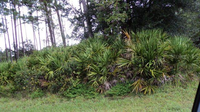 9 Elias Ln., Palm Coast, FL 32164