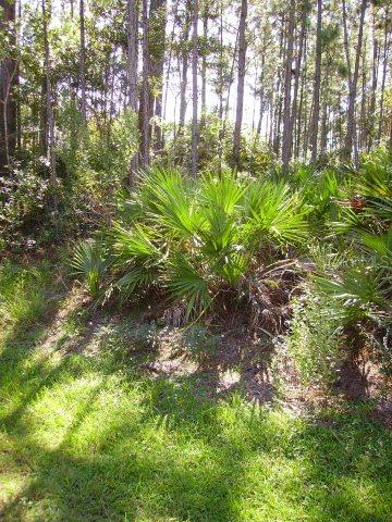 34 Ryarbor Dr., Palm Coast, FL 32164