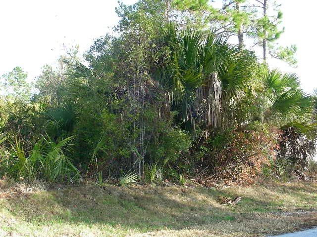 5 White Hill Pl., Palm Coast, FL 32164