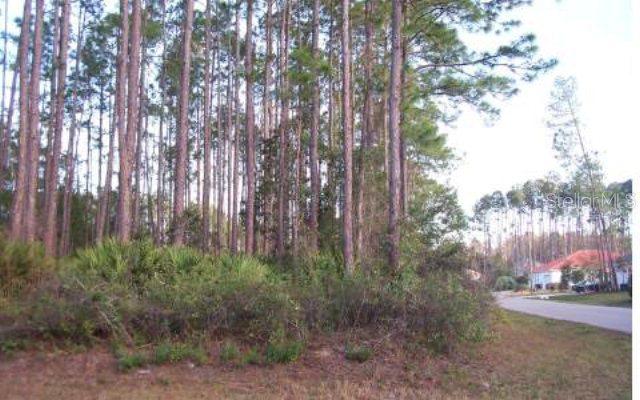 62 Esperanto Dr., Palm Coast, FL 32164