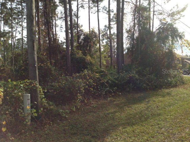 27 Buttermill Dr., Palm Coast, FL 32137