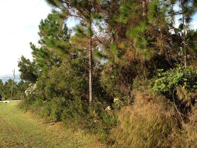 6 Bud Hollow Dr., Palm Coast, FL 32137