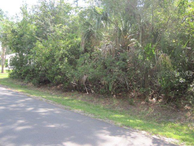 97 Fort Caroline Ln., Palm Coast, FL 32137