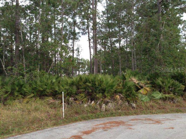 16 Ripple Pl., Palm Coast, FL 32164
