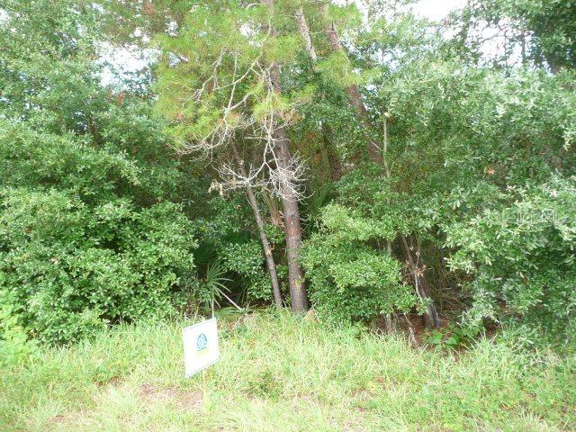 106 Pine Grove Dr., Palm Coast, FL 32164