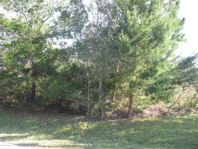 17 Fairbank Ln., Palm Coast, FL 32137