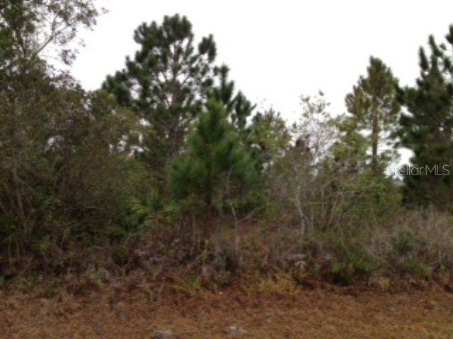 25 Lansing Ln., Palm Coast, FL 32164