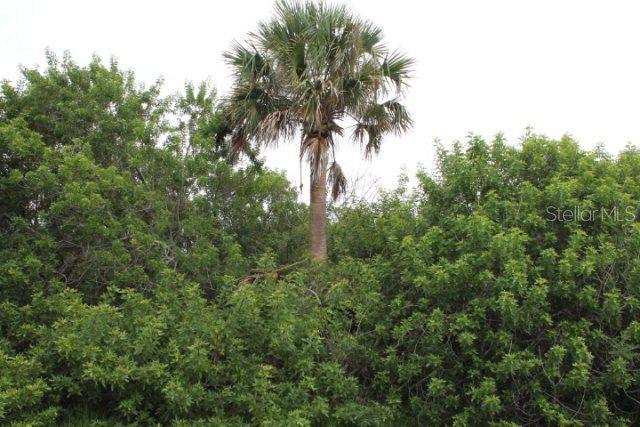 2255 S Daytona Ave., Flagler Beach, FL 32136