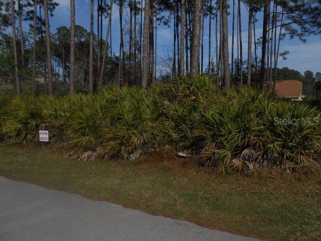 9 Elias Ln., Palm Coast, FL 32164